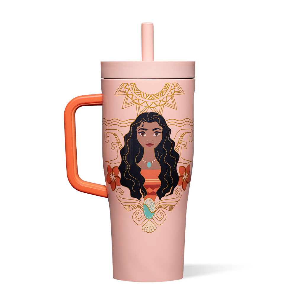 disney-princess-leakproof-cruiser-a2 DIS2222DP-M-01.png