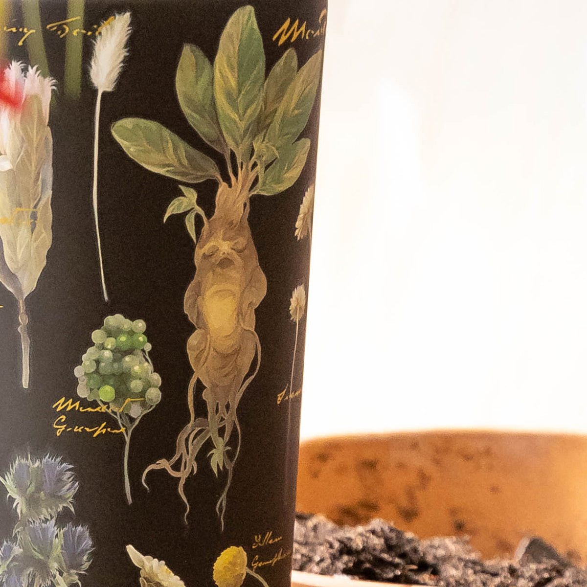 harry-potter-cold-cup-v9 Herbology-3.jpg